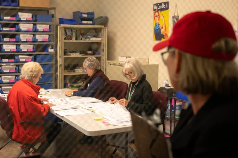 Justice Department Monitors State Polls