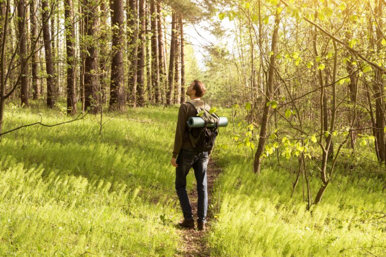 Britain among world’s least connected to nature, global study finds